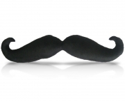 moustache-1