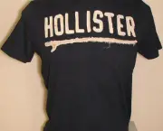 camiseta-hollister-masculina-15