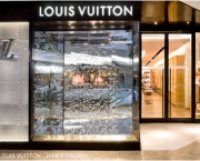 Louis Vuitton Store (2)