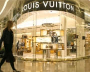 Louis Vuitton Store (5)