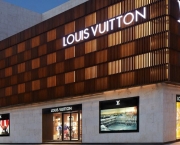 Louis Vuitton Store (11)