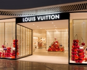 Louis Vuitton Store (13)