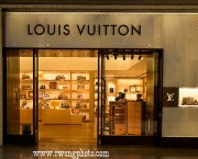 Louis Vuitton Store (15)