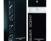 silver-scent-5
