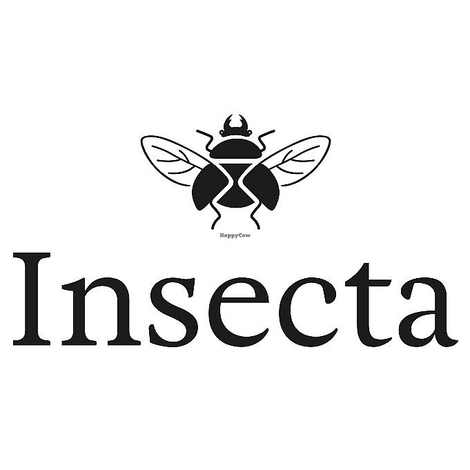 Insecta Shoes 
