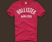 camiseta-hollister-masculina-14