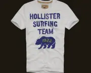 camiseta-hollister-masculina-2