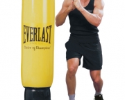 everlast-11