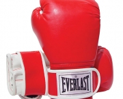 everlast-13