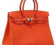 hermes-birkin-6