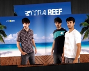 reef-brasil-28