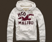 roupas-hollister-11