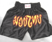 short-muay-thai-4