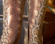 Snake Print Summer 2012 (9).jpg