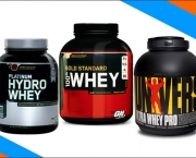 top-whey-protein-13