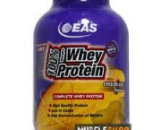 whey-protein-como-tomar-4